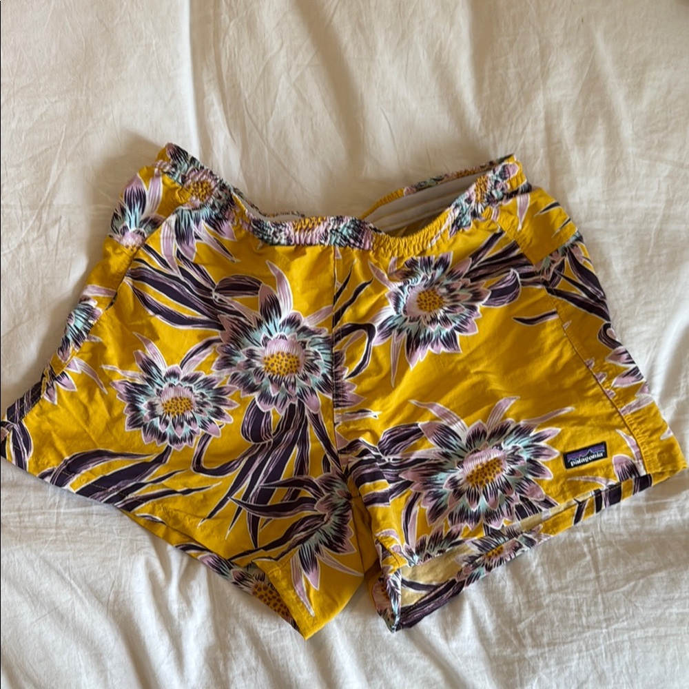 Patagonia Baggies Shorts